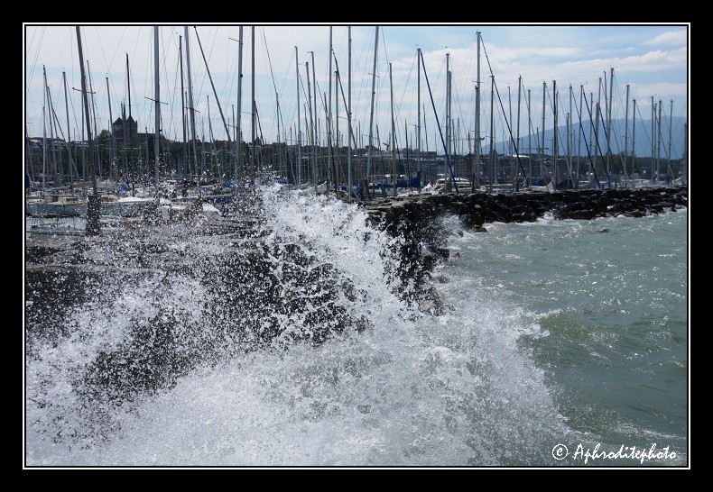 106 Le port des Eaux Vives, un jour de bise